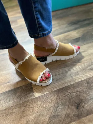 Bernie-Mev Venti Fringe (HTT)