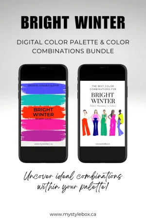 Bright Winter Season Digital Color Palette and Color Combinations Bundle