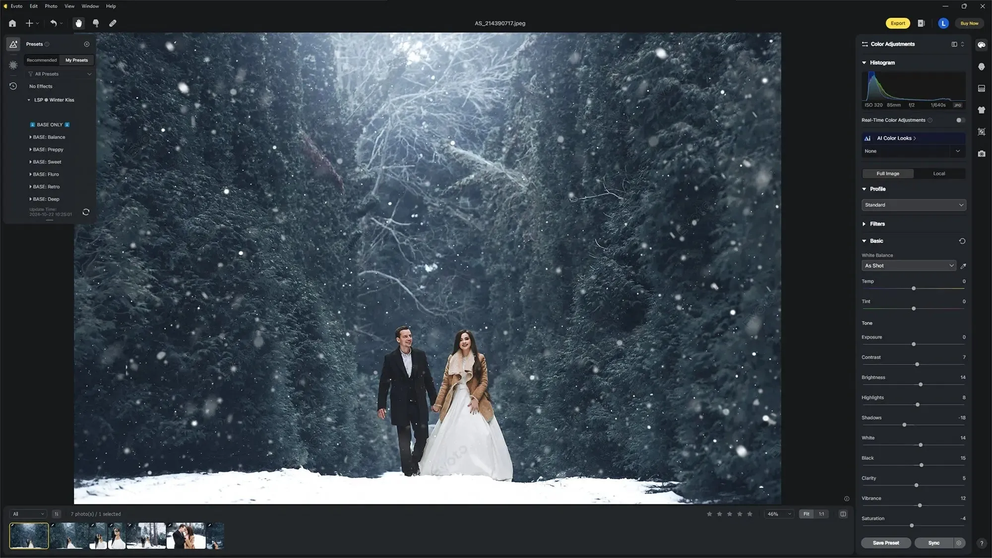 Evoto Winter & Hallmark Presets Pack & Bonuses
