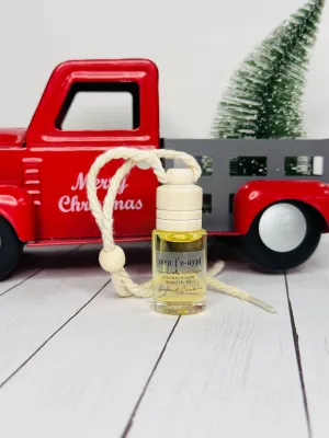 Hanging Car Diffuser Holiday 2024 / Pick your scent (New)