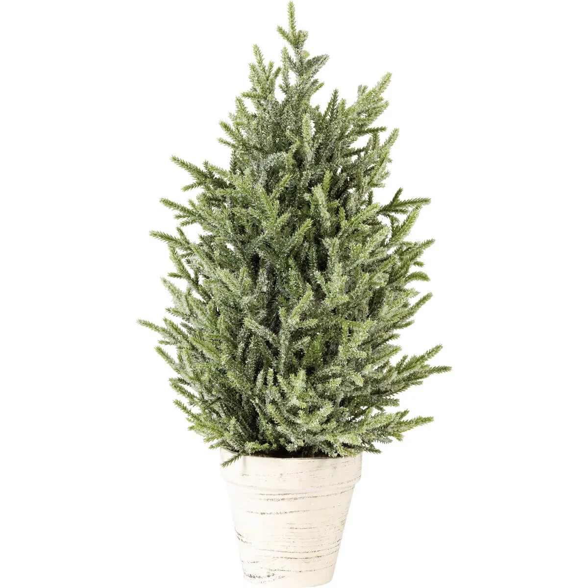 Iced Tree In White Pot