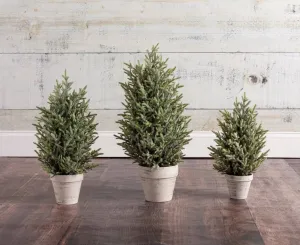 Iced Tree In White Pot