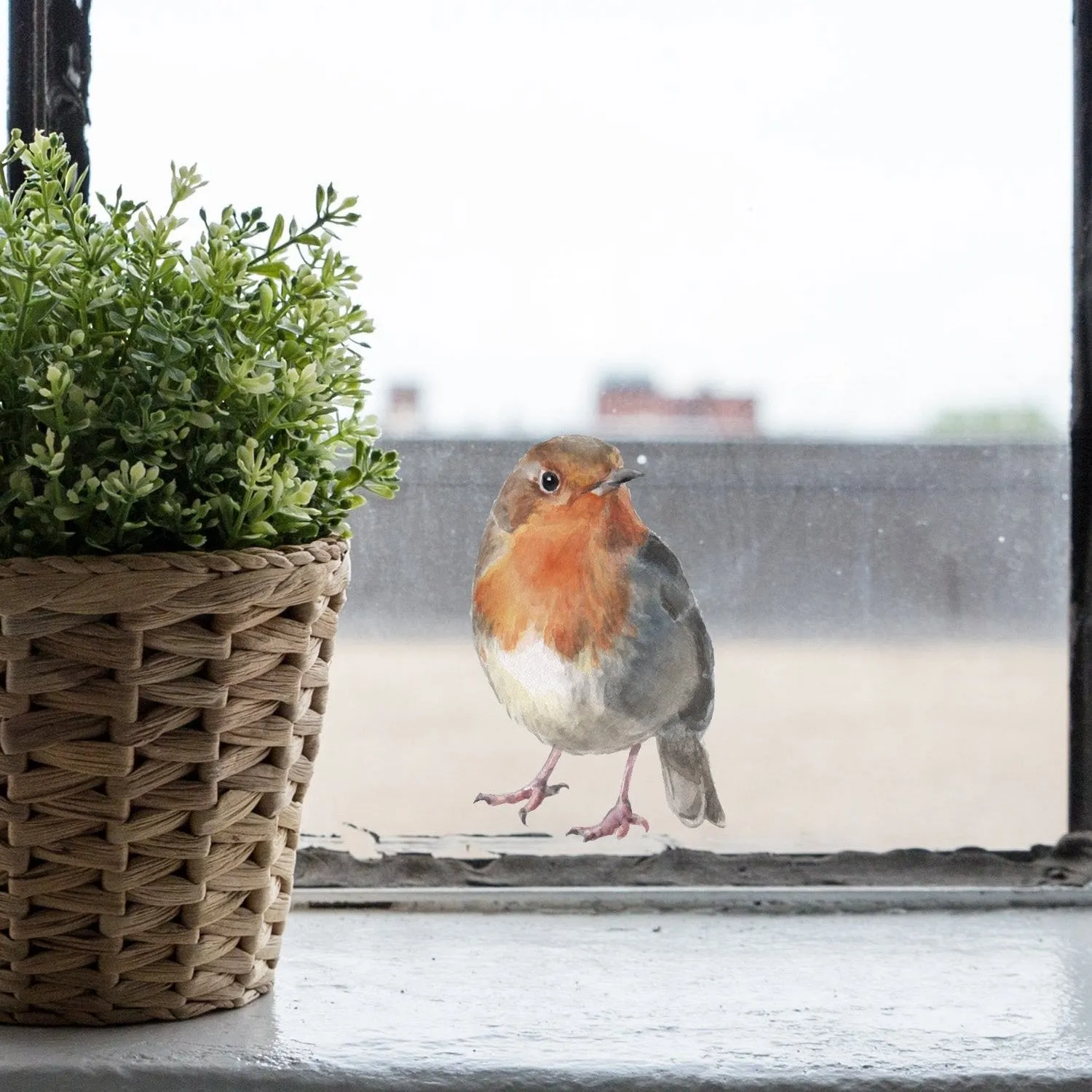 Joanie & Jeanie - Robin Wall & Window Sticker