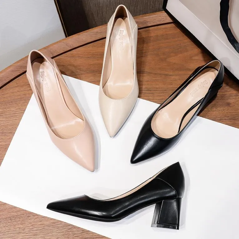 Petite Pointy Chunky Heel Shoes GS17