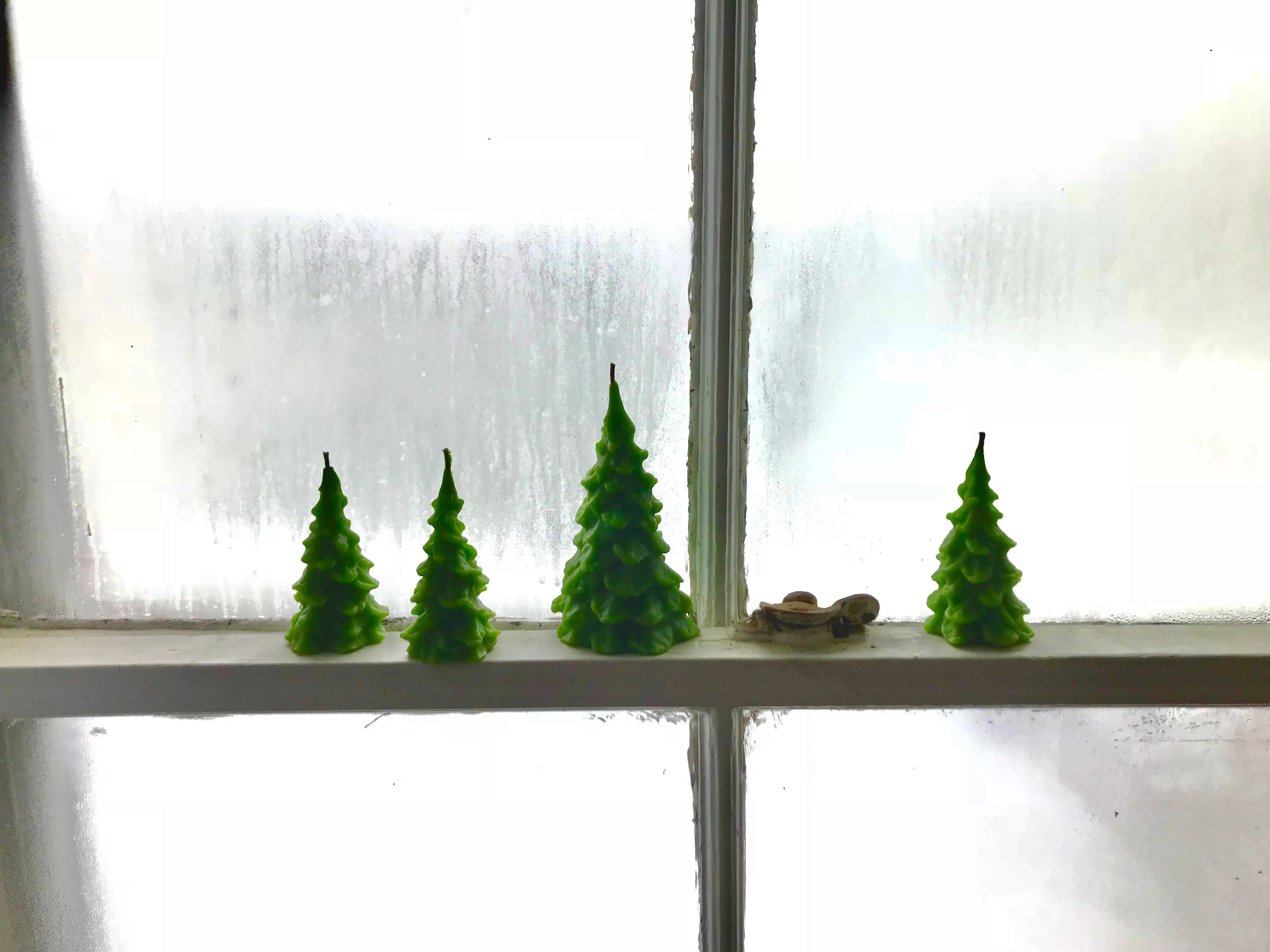 winter forest beeswax candles