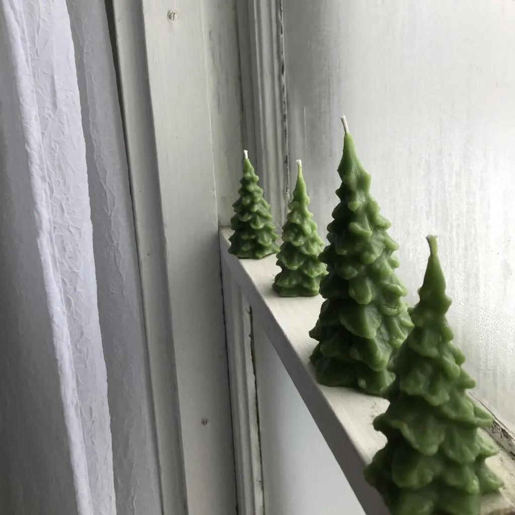 winter forest beeswax candles