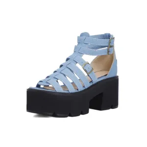 Women's's Hollow Out Ankle Strap Buckle Thick Sole Chunky Heel Platform Sandals